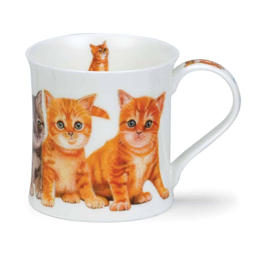 Kittens Ginger - Wessex 0,3l