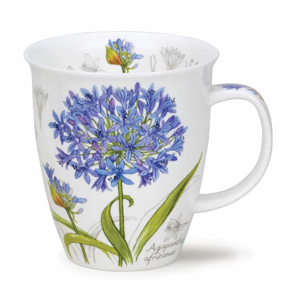 Botanical Sketch Agapanthus - Nevis 0,48l