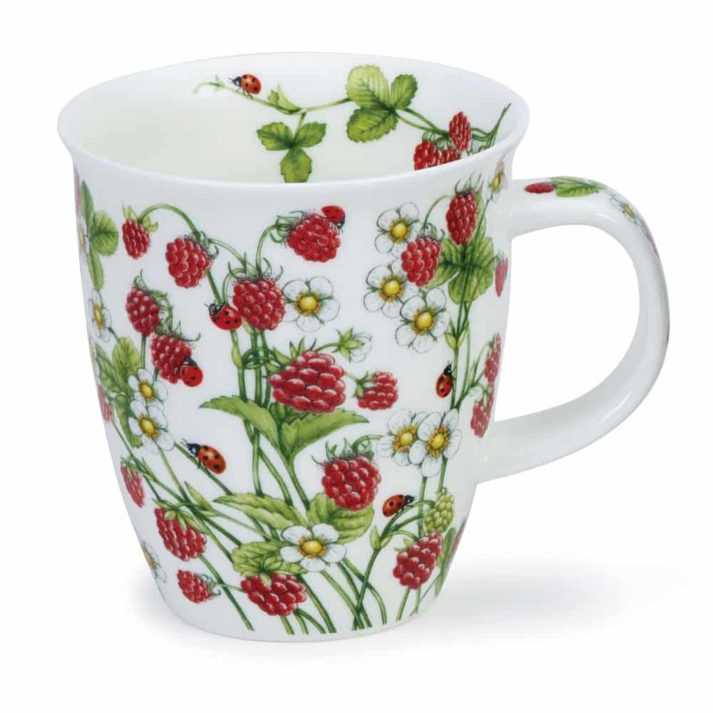 Wild Fruits Raspberry - Nevis 0,48l