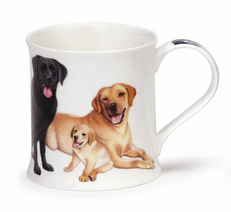 Dogs and Puppies Labrador - Wessex 0,3l