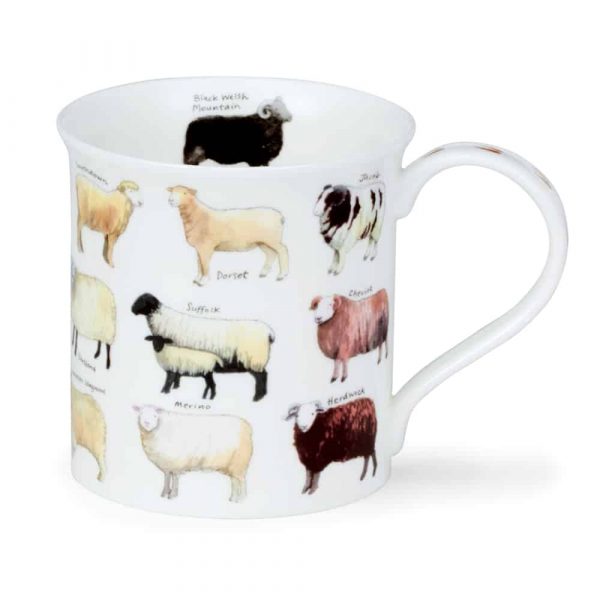 Animal Breeds Sheep - Bute 0,3l