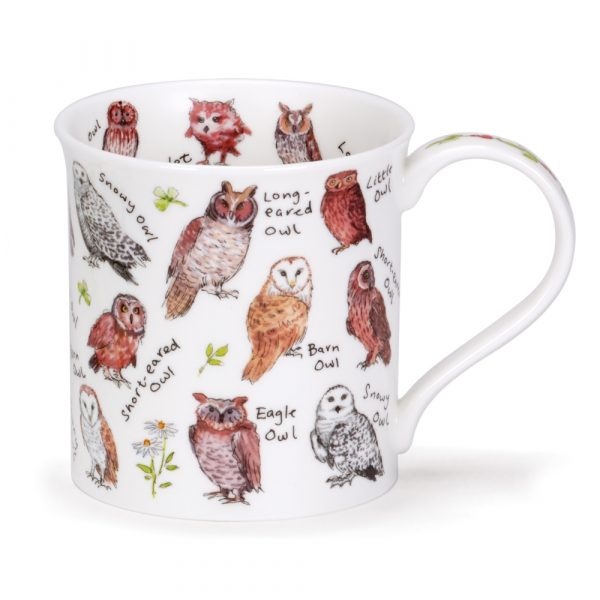 Birdlife Owls - Bute 0,3l