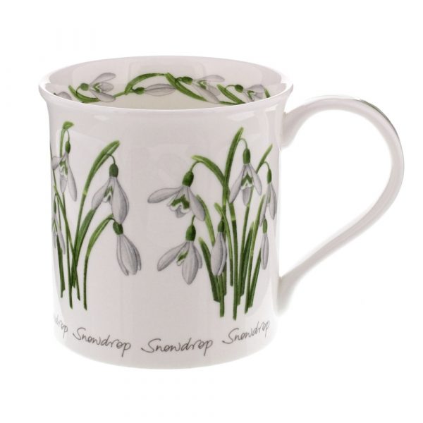 Spring Flowers Snowdrop - Bute 0,3l