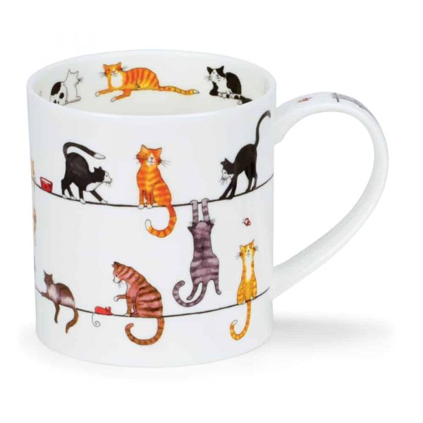 Live Wires Cat - Orkney 0,35l
